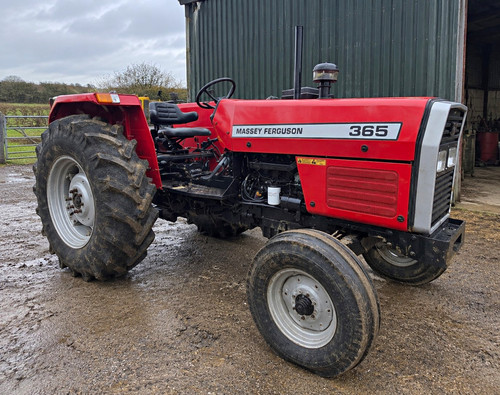 Massey ferguson 365 - ferguson,