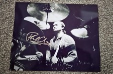 PHIL COLLINS 8 x10 (20x25 cm)