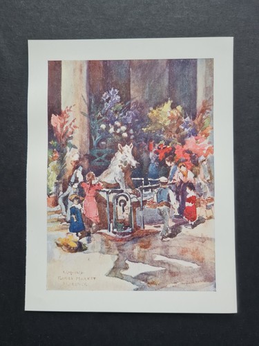 Antique 1905 print il - antique,