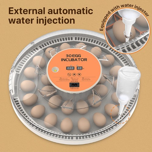 30x eggs incubator temperature - 30x,