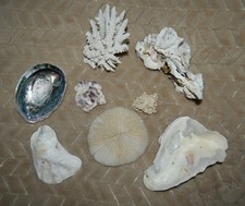 Vintage Real Natural Mushroom