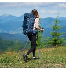 Costway Hiking Pole Walking Sticks Adjustable 65-135 cm Blue