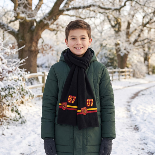Harry potter gryffindor - harry, scarf