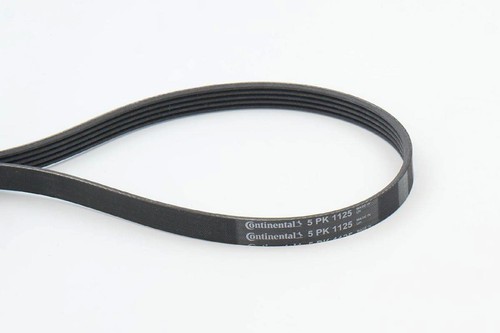 Ribbed belt contitech - v-ribbed,