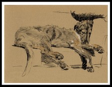IRISH WOLFHOUND SLEEPING
