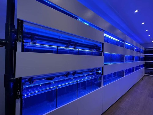 Aquarium premium custom - aquarium,
