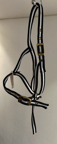 Aerborn brand new large foal - brand,