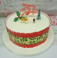Christmas Cake Decorations