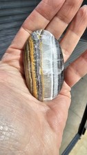 Pakistan Bumblebee Jasper