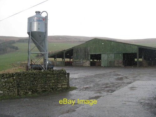 Photo 6x4 cattle - feed, and