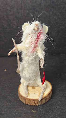 Funny taxidermy dexter - funny,