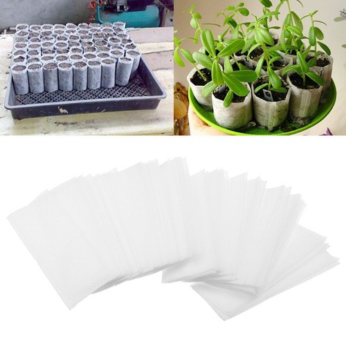 500 pcs plants - 500,