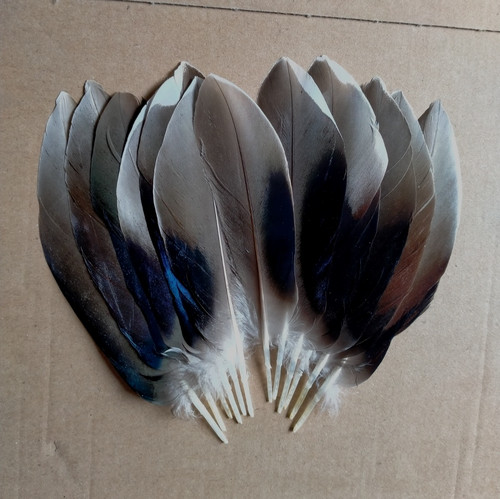 Fly tying native crafts - /,