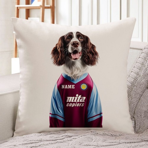 Aston villa springer spaniel - aston,