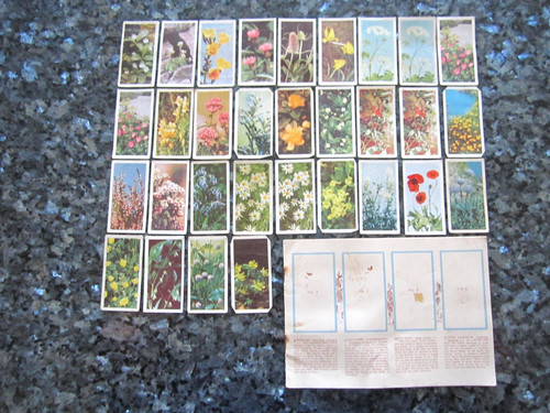 Vintage brooke bond tea - vintage, cards
