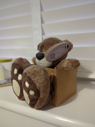Bigfoot bear box - bear,
