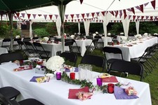 Red and Purple - Wedding Party Decorations Bundle/Joblot - can be couriered