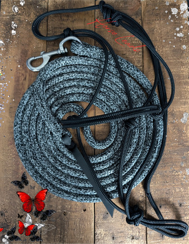 Horse training line and - horse,