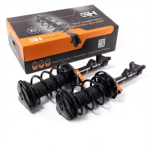 Complete struts assembly - complete,