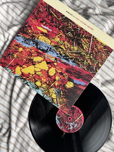 Crazy fucking dreams - crazy, by