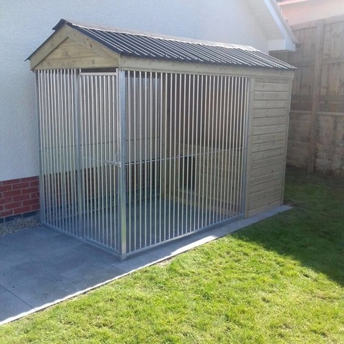 Dog kennel run with - dog,