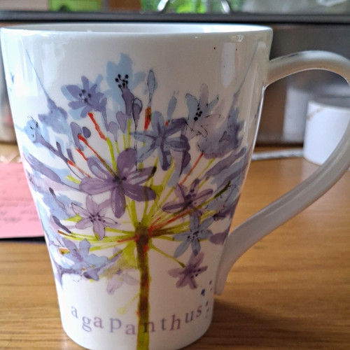 Bloomers agapanthus ceramic - bloomers,