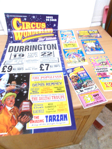 Large circus wonderland - large,