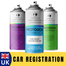 Car Paint By Registration Number Plate Aerosol Spray 400ml Chip Damage Repair