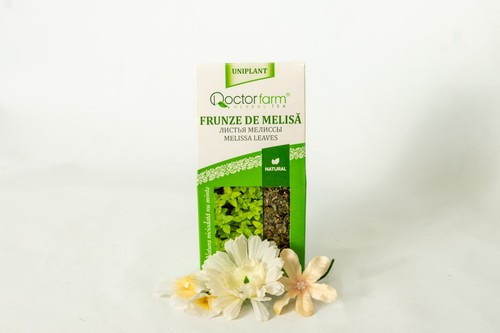 Melissa leaves tea natural - melissa,