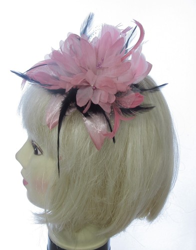 Pink with black - , feathers