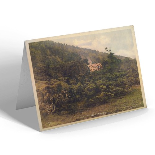 Greeting card vintage - card,