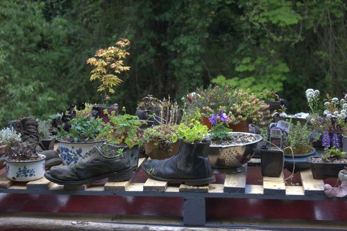 Photo narrow boat garden - photo,