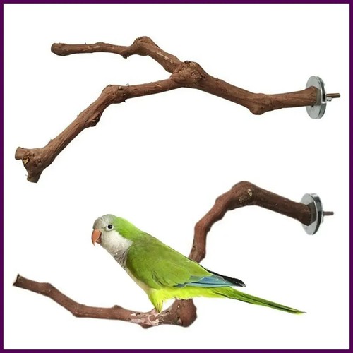 Cage perches pet - pet, wood