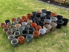 x50 Assorted Plastic Plant