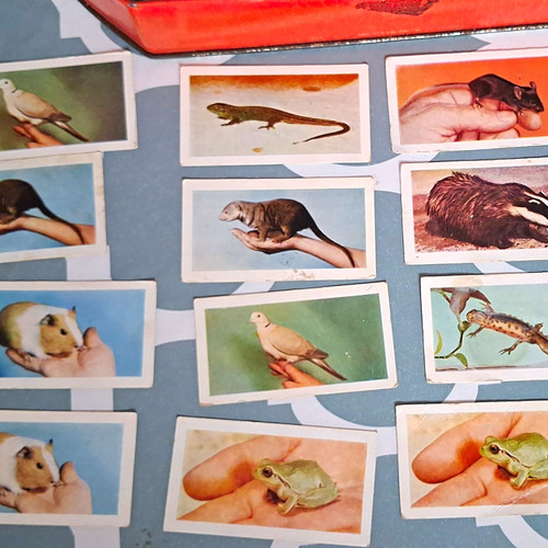 Horniman tea pets cards - pets,
