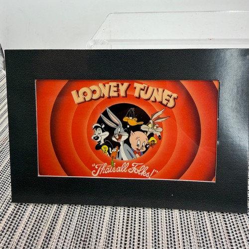 Looney tunes the - looney,