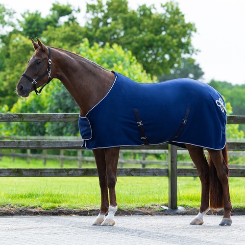 Horse show rug - rug, fleece
