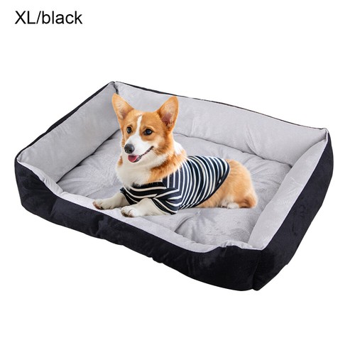 Small medium large dog - small,