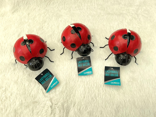 Adorable metal - 🐞,