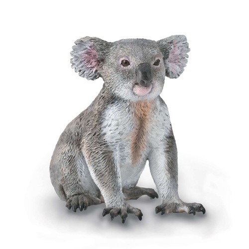 Collecta koala - collecta,
