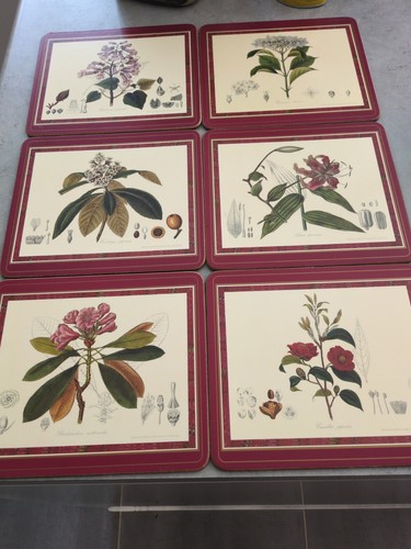 Pimpernel royal horticultural - royal,