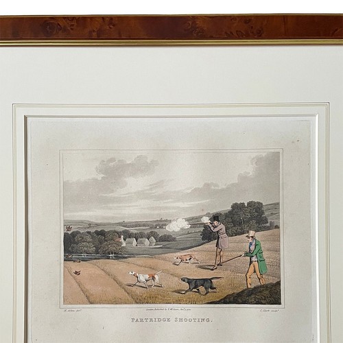 Framed etching partridge - framed,