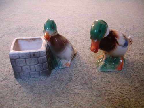 Mallard ducks plant pot - plant,