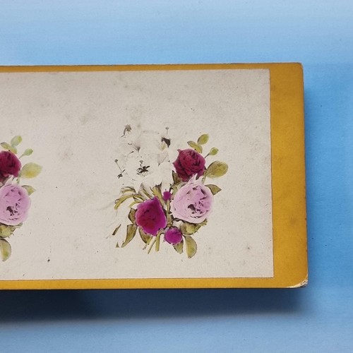 Victorian natural history - victorian,