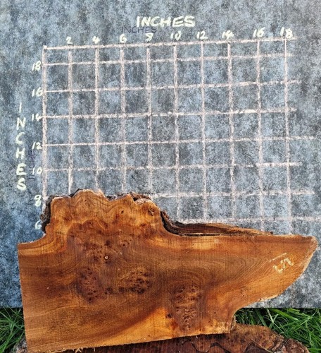 Timber scottish burr elm - timber,
