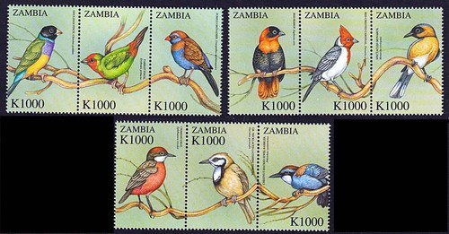 Zambia 2000 singing birds - singing,