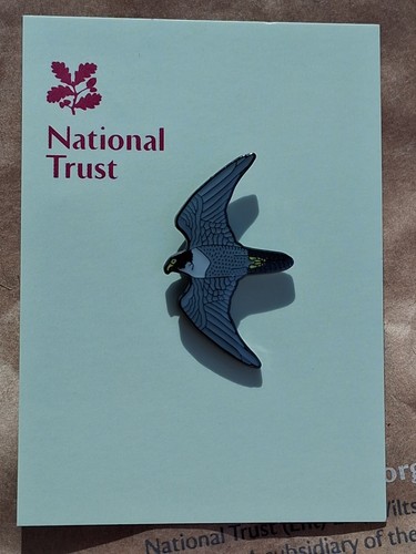 National trust corfe castle - national,