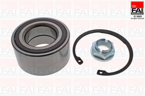 Fai rear wheel bearing - fai,