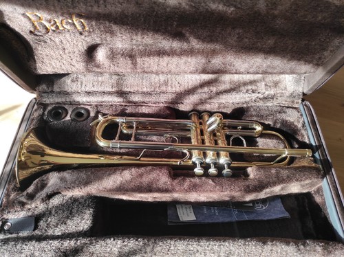 Trumpet vincent bach - bb,