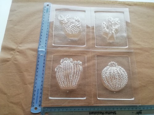 Cactus selection plastic